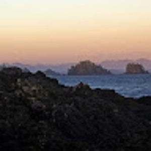 Meet your Posher, Richard